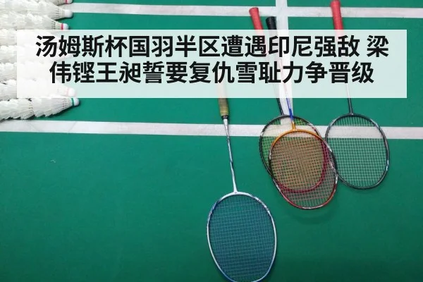 汤姆斯杯国羽半区遭遇印尼强敌 梁伟铿王昶誓要复仇雪耻力争晋级