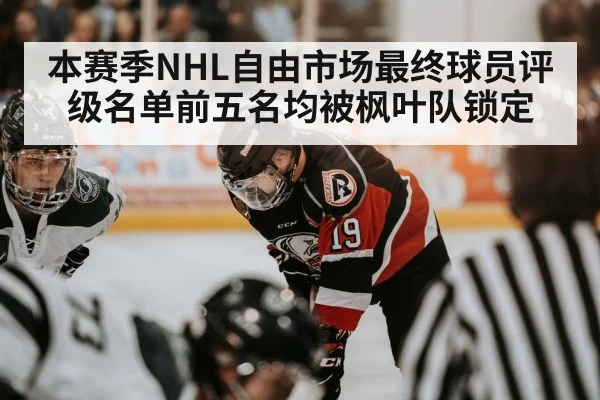 本赛季NHL自由市场最终球员评级名单前五名均被枫叶队锁定