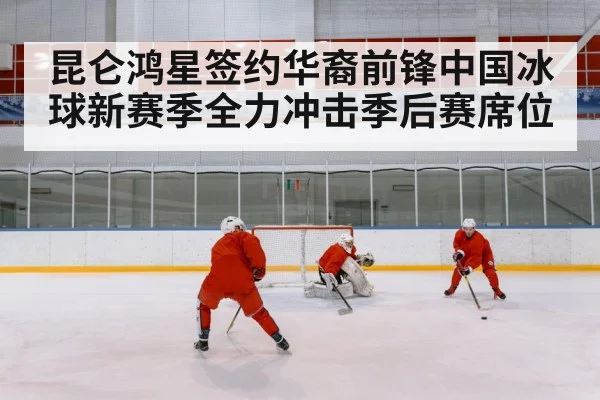 chinese ice hockey team